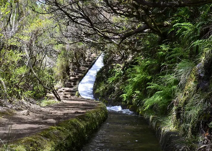 アパート Casas Do Do Pico フンシャル