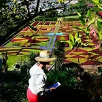 Casas Do Pico By Brugrani