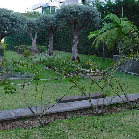Casas Do Pico By Brugrani