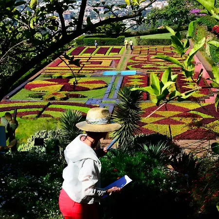 Casas Do Pico By Brugrani