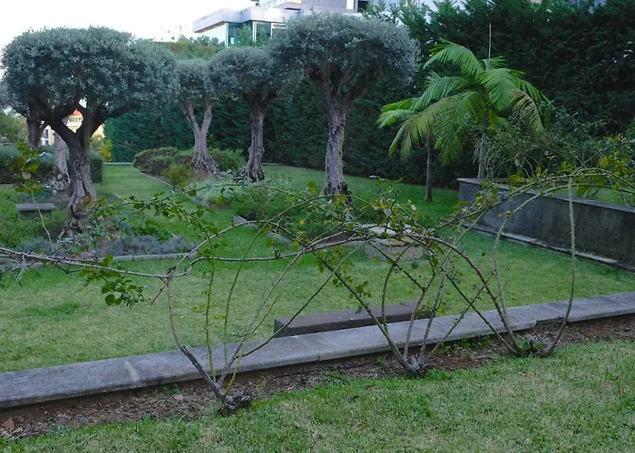 Casas Forte Do Pico By Brugrani